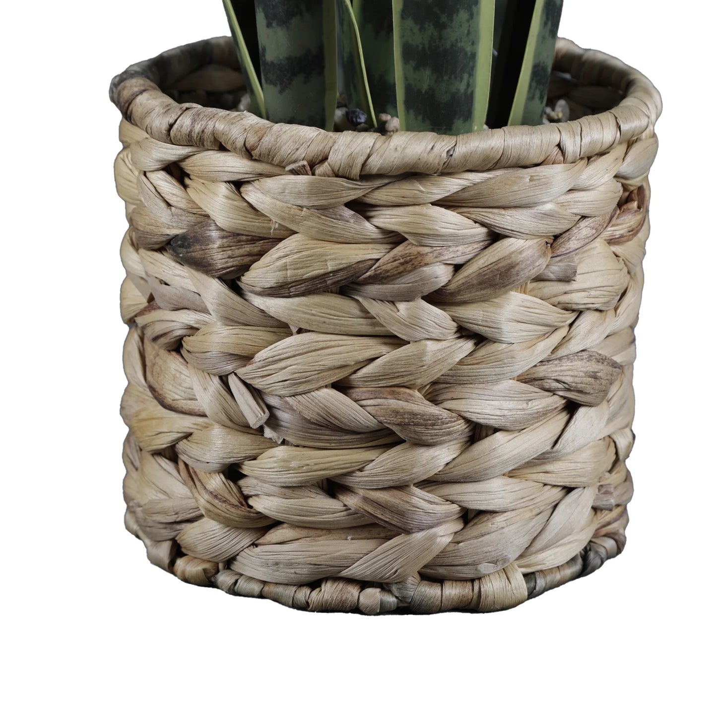 (3 Pack)   24.3" Artificial Snake Plant in Rattan Basket