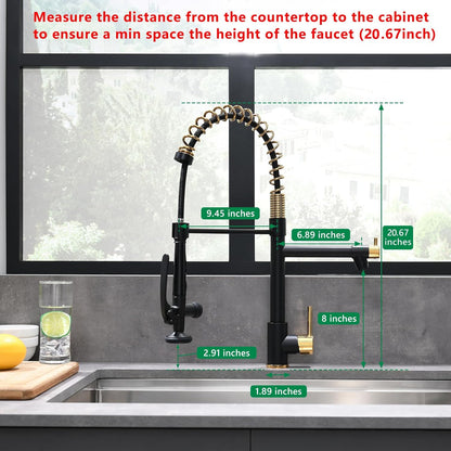 Black&Gold Kitchen Faucet with Sprayer,Commercial Pull down Kitchen Faucet for Kitchen Sink