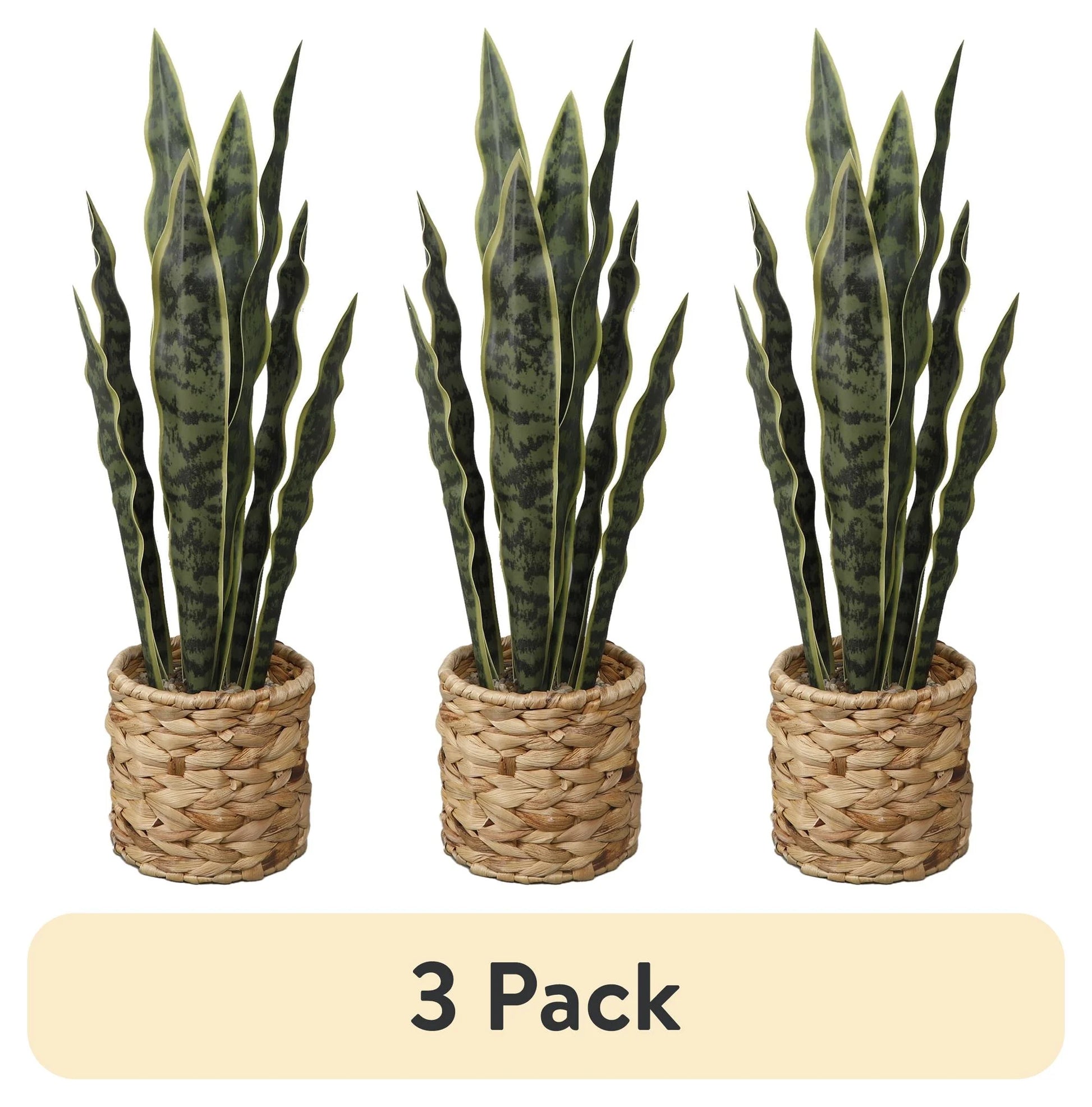 (3 Pack)   24.3" Artificial Snake Plant in Rattan Basket