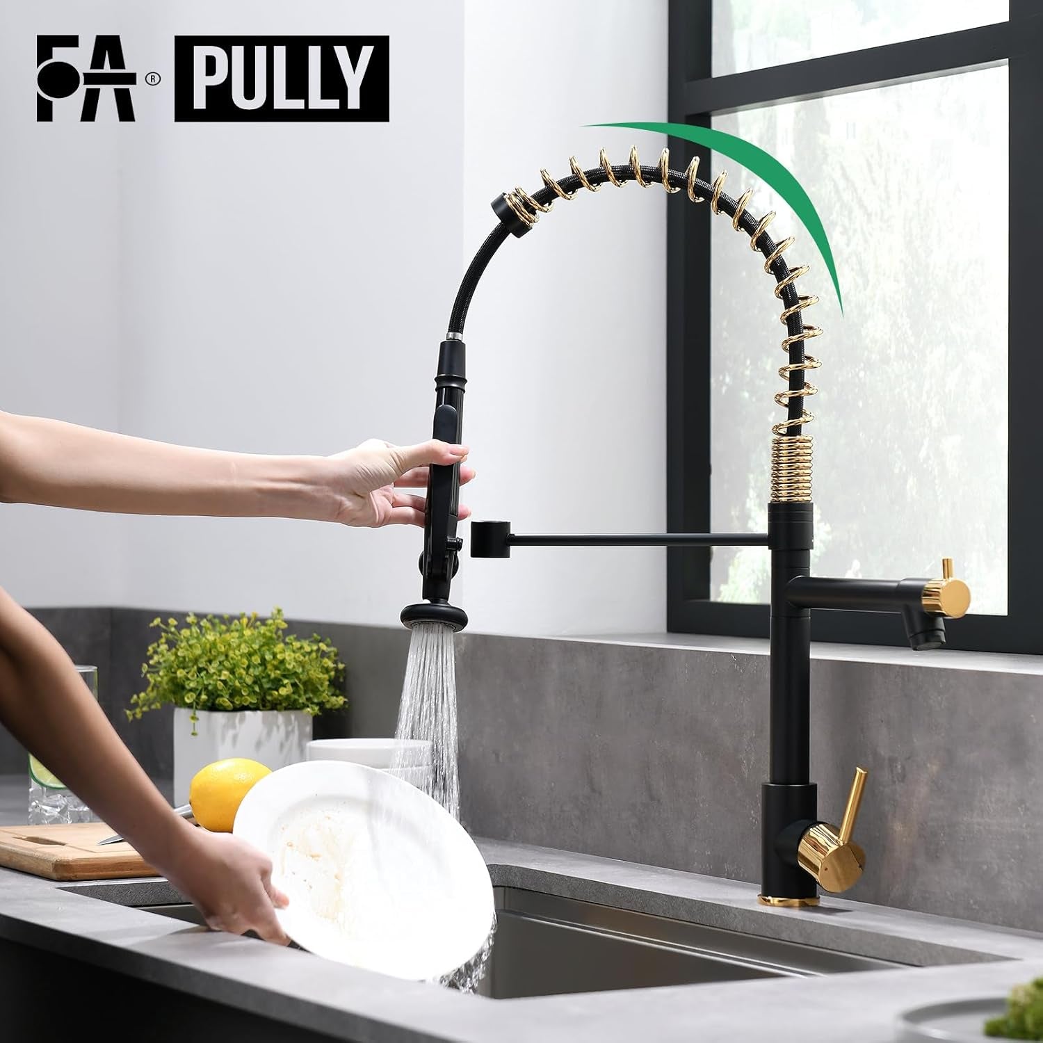 Black&Gold Kitchen Faucet with Sprayer,Commercial Pull down Kitchen Faucet for Kitchen Sink