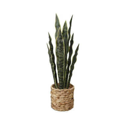 (3 Pack)   24.3" Artificial Snake Plant in Rattan Basket