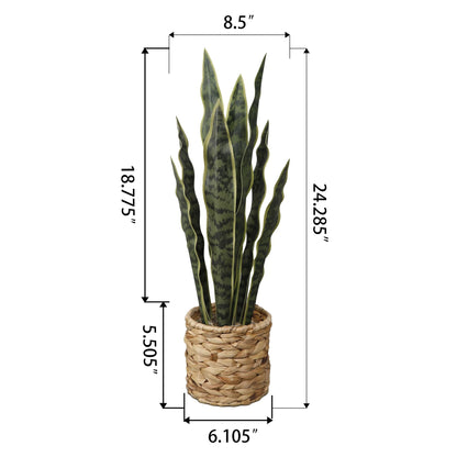(3 Pack)   24.3" Artificial Snake Plant in Rattan Basket