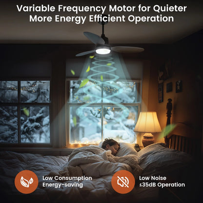 Ceiling Fans with Lights and Remote & App Control,36 Inch Modern Ceiling Fans,3 Reversible Blades Dimmable Noiseless, for Bedroom Kitchen Patio,Black