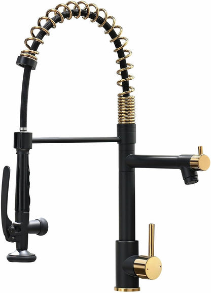 Black&Gold Kitchen Faucet with Sprayer,Commercial Pull down Kitchen Faucet for Kitchen Sink