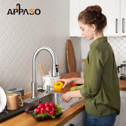 Stainless Steel Brushed Nickel High Arch Kitchen Faucet